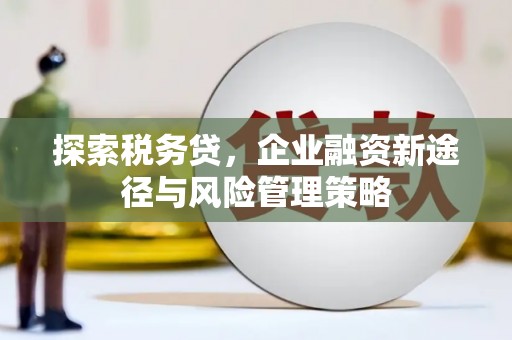 漯河探索税务贷，企业融资新途径与风险管理策略