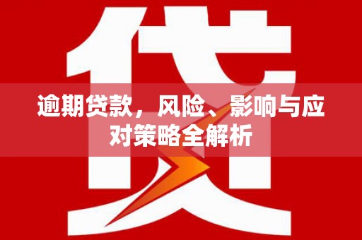 漯河逾期贷款，风险、影响与应对策略全解析