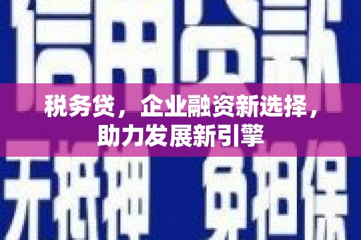 漯河税务贷，企业融资新选择，助力发展新引擎