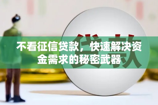 漯河不看征信贷款，快速解决资金需求的秘密武器
