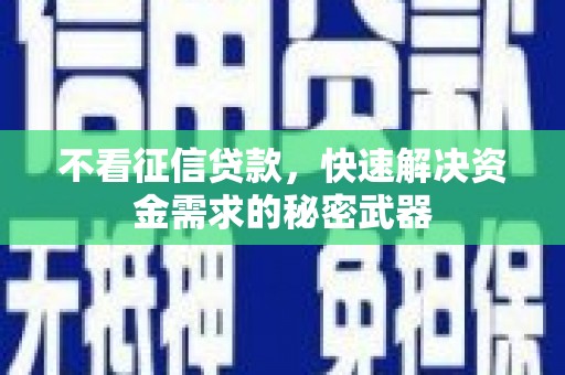 漯河不看征信贷款，快速解决资金需求的秘密武器