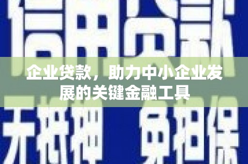 漯河企业贷款，助力中小企业发展的关键金融工具