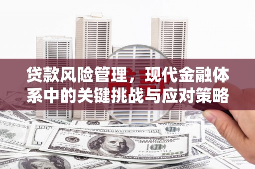 漯河贷款风险管理，现代金融体系中的关键挑战与应对策略