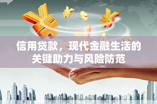 漯河信用贷款，现代金融生活的关键助力与风险防范
