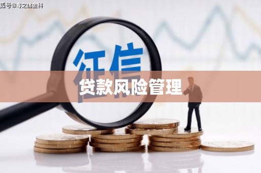 漯河贷款风险管理