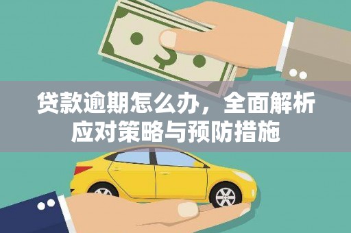漯河贷款逾期怎么办，全面解析应对策略与预防措施