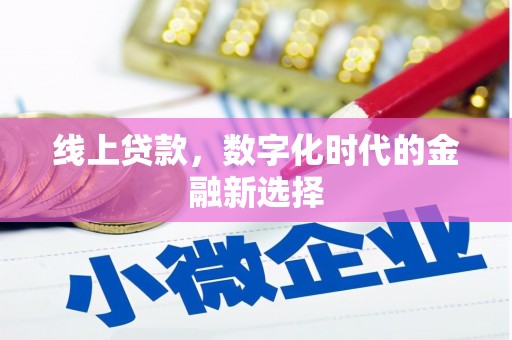 漯河线上贷款，数字化时代的金融新选择