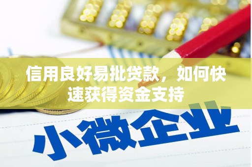 漯河信用良好易批贷款，如何快速获得资金支持