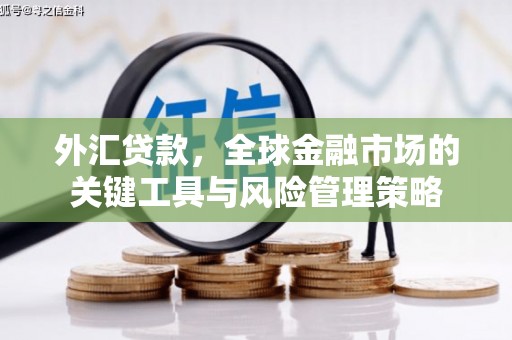 漯河外汇贷款，全球金融市场的关键工具与风险管理策略