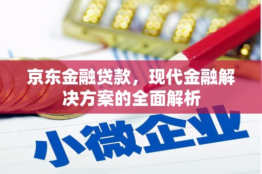 漯河京东金融贷款，现代金融解决方案的全面解析