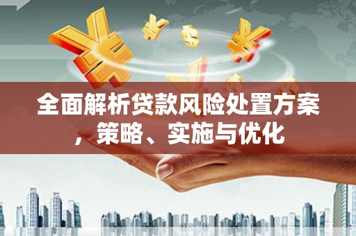 漯河全面解析贷款风险处置方案，策略、实施与优化