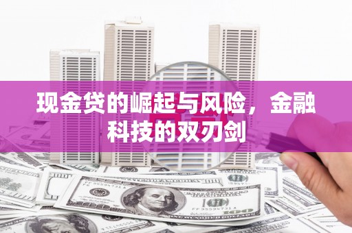 漯河现金贷的崛起与风险，金融科技的双刃剑