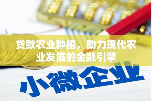 漯河贷款农业种植，助力现代农业发展的金融引擎