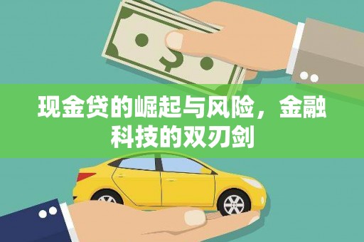 漯河现金贷的崛起与风险，金融科技的双刃剑