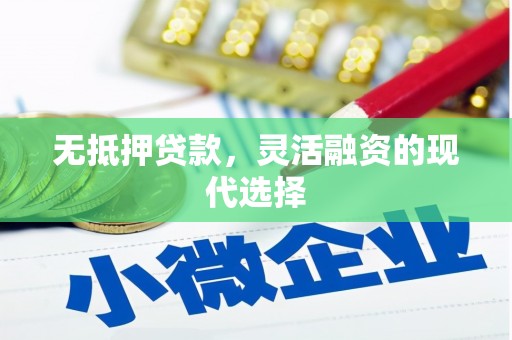 漯河无抵押贷款，灵活融资的现代选择