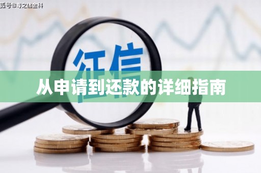 漯河从申请到还款的详细指南