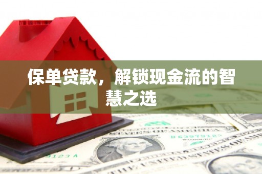 漯河保单贷款，解锁现金流的智慧之选