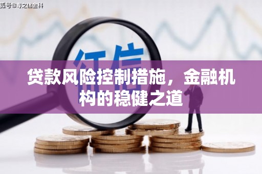 漯河贷款风险控制措施，金融机构的稳健之道