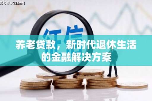 漯河养老贷款，新时代退休生活的金融解决方案