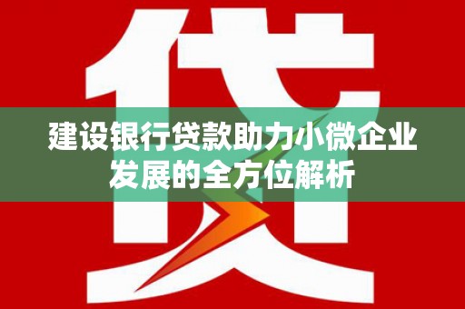 漯河建设银行贷款助力小微企业发展的全方位解析