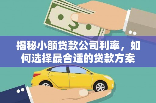 漯河揭秘小额贷款公司利率，如何选择最合适的贷款方案