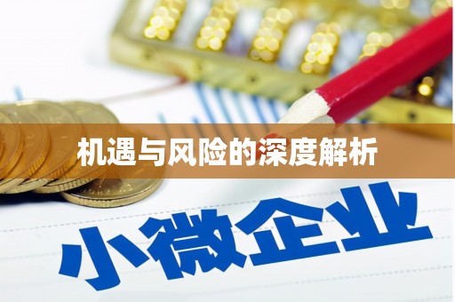 漯河机遇与风险的深度解析
