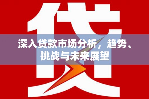 漯河深入贷款市场分析，趋势、挑战与未来展望