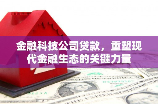 漯河金融科技公司贷款，重塑现代金融生态的关键力量