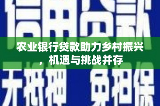 漯河农业银行贷款助力乡村振兴，机遇与挑战并存