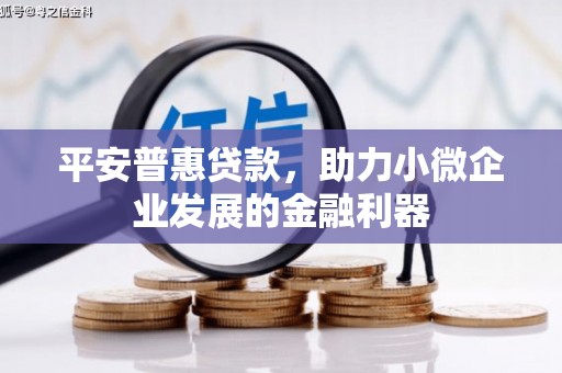 漯河平安普惠贷款，助力小微企业发展的金融利器