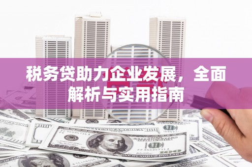 漯河税务贷助力企业发展，全面解析与实用指南