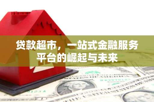 漯河贷款超市，一站式金融服务平台的崛起与未来