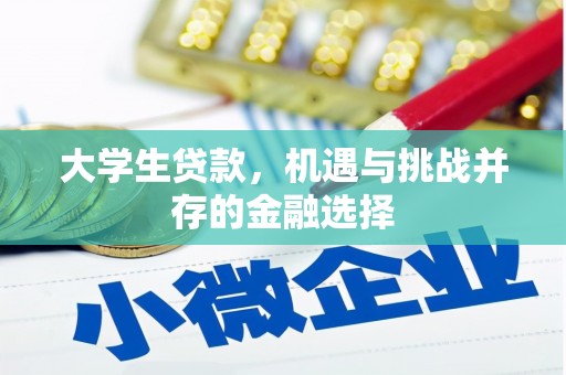 漯河大学生贷款，机遇与挑战并存的金融选择