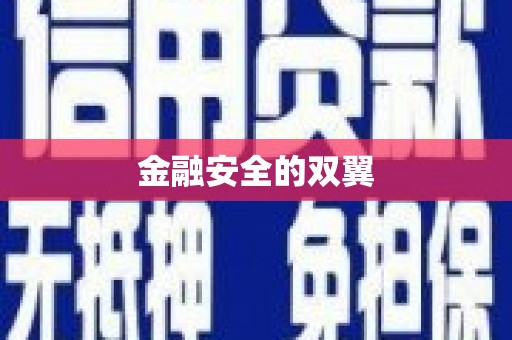漯河金融安全的双翼