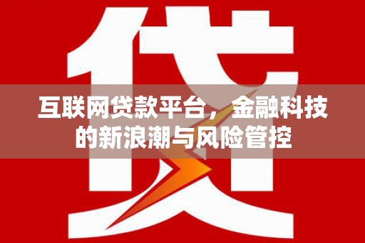 漯河互联网贷款平台，金融科技的新浪潮与风险管控