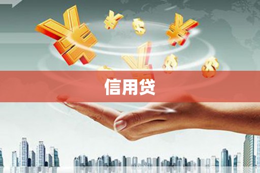 漯河信用贷