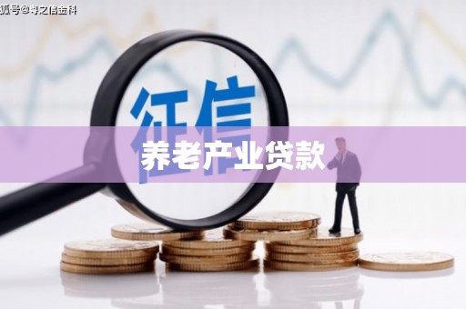 漯河养老产业贷款