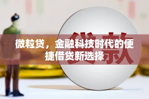 漯河微粒贷，金融科技时代的便捷借贷新选择
