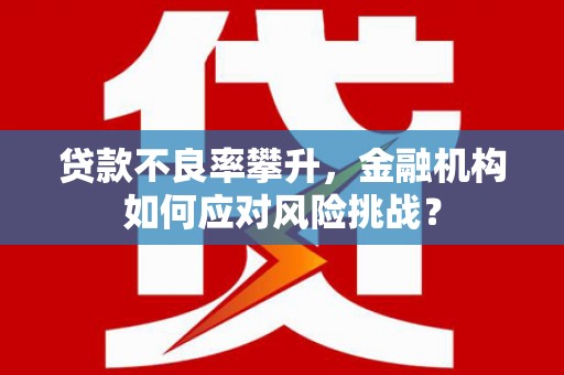 漯河贷款不良率攀升，金融机构如何应对风险挑战？