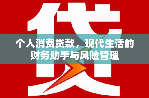 漯河个人消费贷款，现代生活的财务助手与风险管理