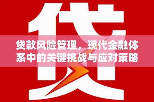 漯河贷款风险管理，现代金融体系中的关键挑战与应对策略