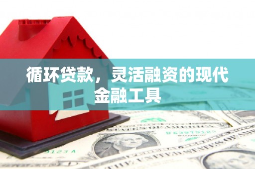 漯河循环贷款，灵活融资的现代金融工具