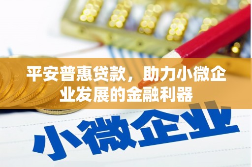 漯河平安普惠贷款，助力小微企业发展的金融利器