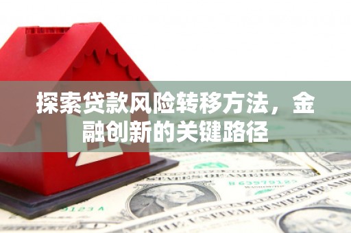 漯河探索贷款风险转移方法，金融创新的关键路径