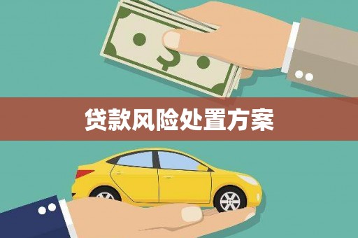 漯河贷款风险处置方案