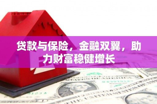 漯河贷款与保险，金融双翼，助力财富稳健增长