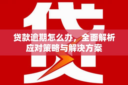 漯河贷款逾期怎么办，全面解析应对策略与解决方案