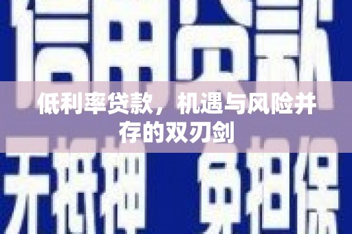 漯河低利率贷款，机遇与风险并存的双刃剑