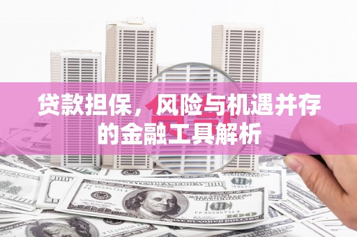 漯河贷款担保，风险与机遇并存的金融工具解析