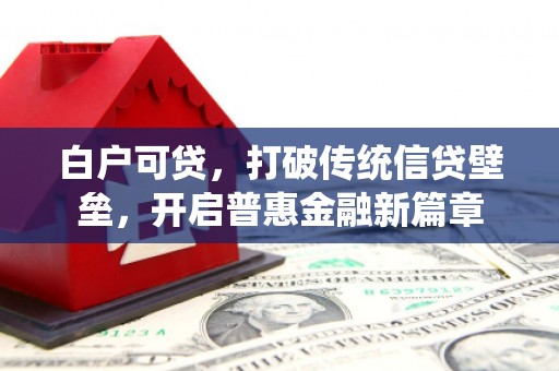 漯河白户可贷，打破传统信贷壁垒，开启普惠金融新篇章